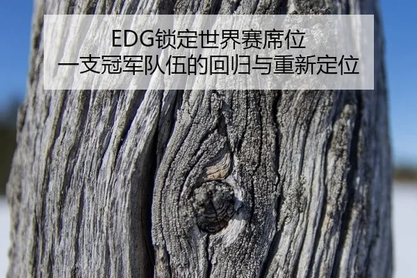 suo-ding-shi-jie-sai-xi-wei-yi-zhi-guan-jun-dui-wu-de-hui-gui-yu-chong-xin-ding-wei-2-366.jpg